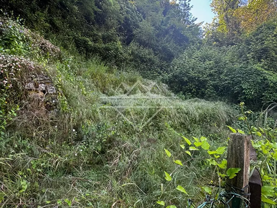 Immagine 17 di Terratetto in vendita  a Carrara
