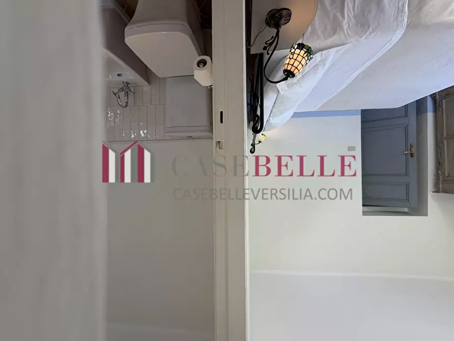 Immagine 68 di Immobile di prestigio in vendita  a Camaiore