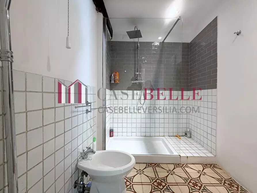 Immagine 52 di Immobile di prestigio in vendita  a Camaiore