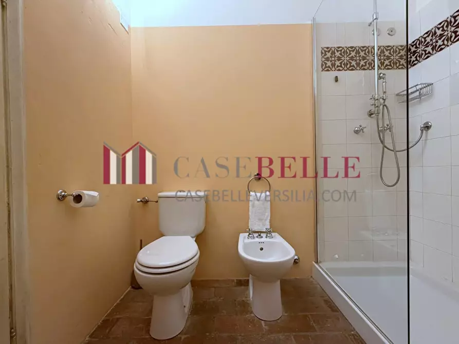 Immagine 32 di Immobile di prestigio in vendita  a Camaiore