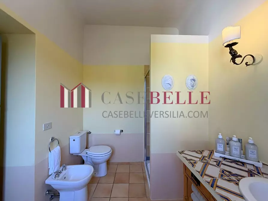 Immagine 102 di Immobile di prestigio in vendita  a Camaiore