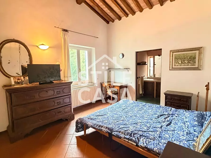 Immagine 15 di Villa in vendita  a Crespina Lorenzana