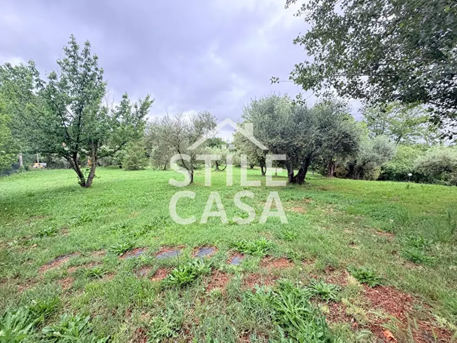 Immagine 50 di Villa in vendita  a Crespina Lorenzana