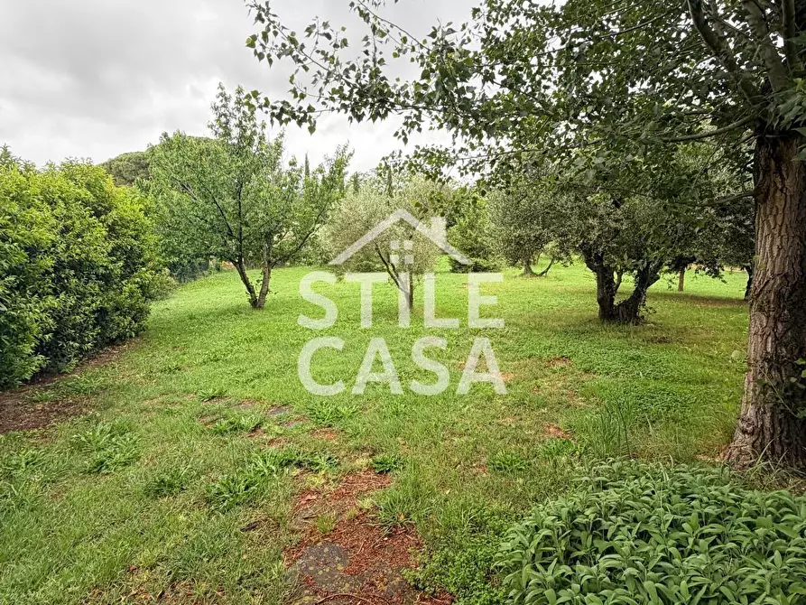 Immagine 49 di Villa in vendita  a Crespina Lorenzana