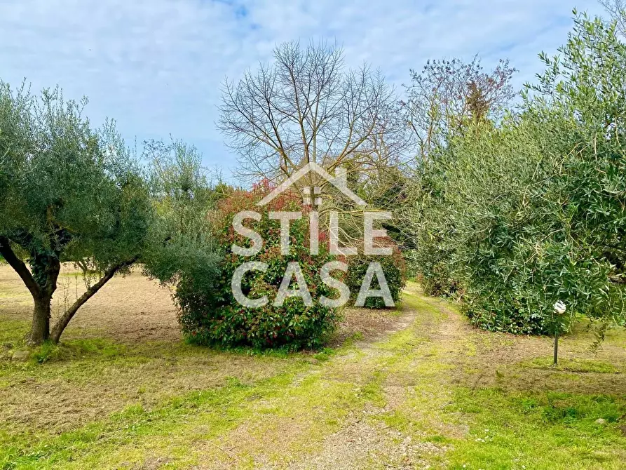 Immagine 96 di Villa in vendita  a Crespina Lorenzana