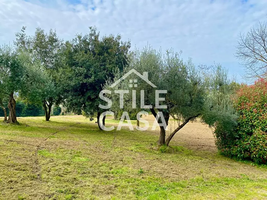 Immagine 95 di Villa in vendita  a Crespina Lorenzana