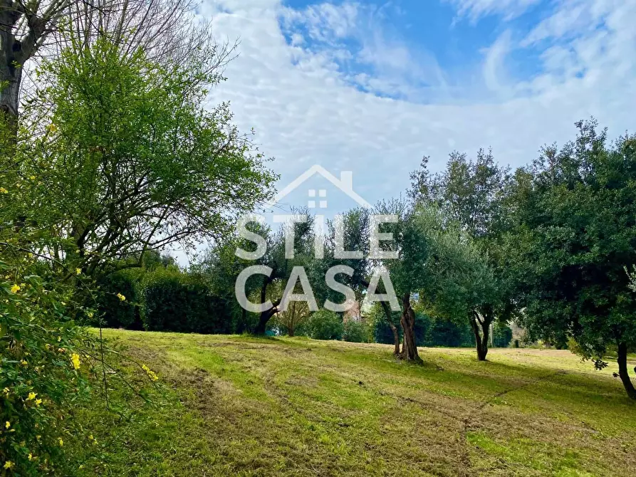 Immagine 94 di Villa in vendita  a Crespina Lorenzana
