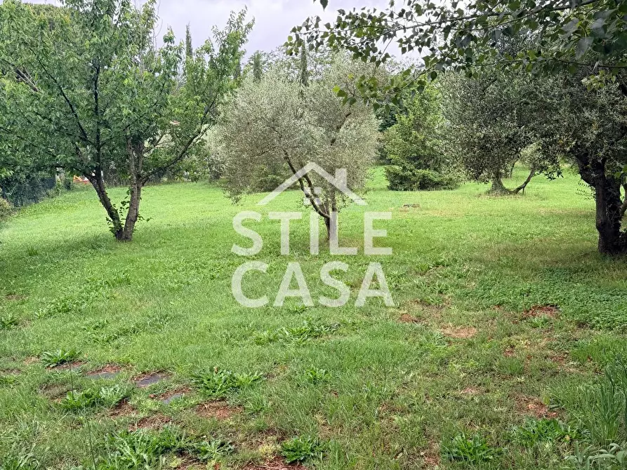 Immagine 48 di Villa in vendita  a Crespina Lorenzana
