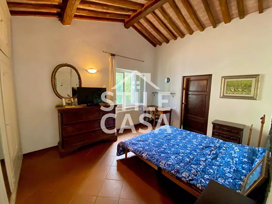 Immagine 68 di Villa in vendita  a Crespina Lorenzana