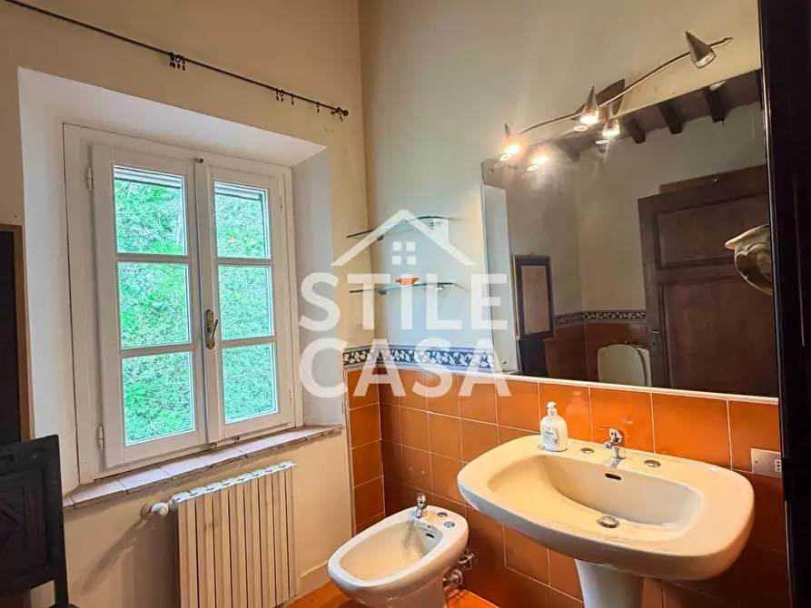 Immagine 10 di Villa in vendita  a Crespina Lorenzana