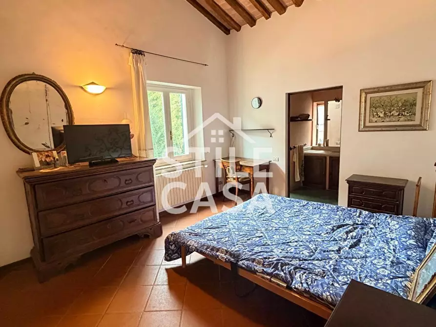 Immagine 12 di Villa in vendita  a Crespina Lorenzana
