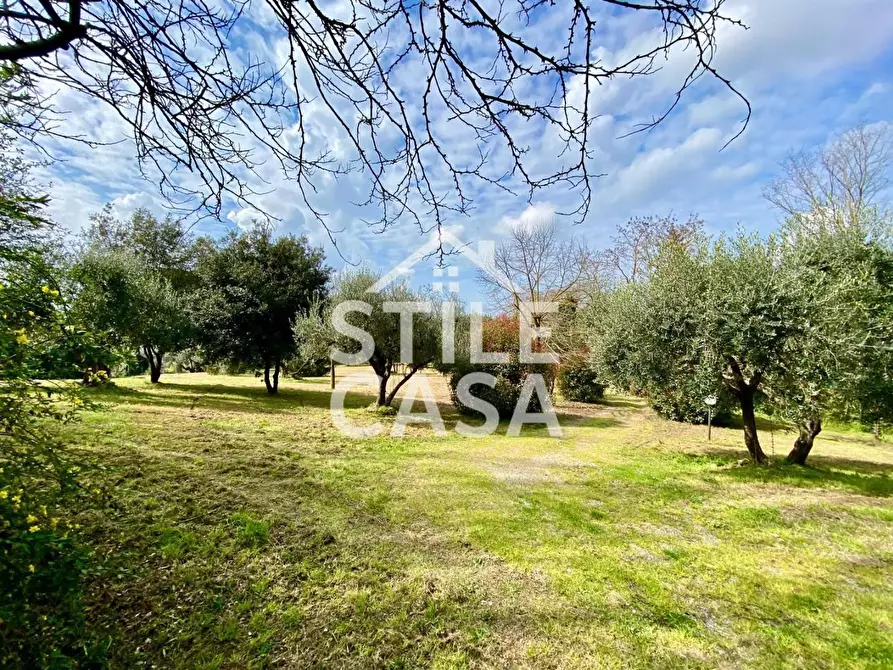 Immagine 55 di Villa in vendita  a Crespina Lorenzana