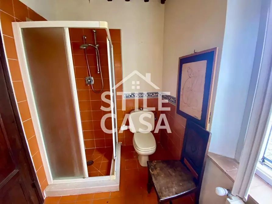 Immagine 60 di Villa in vendita  a Crespina Lorenzana