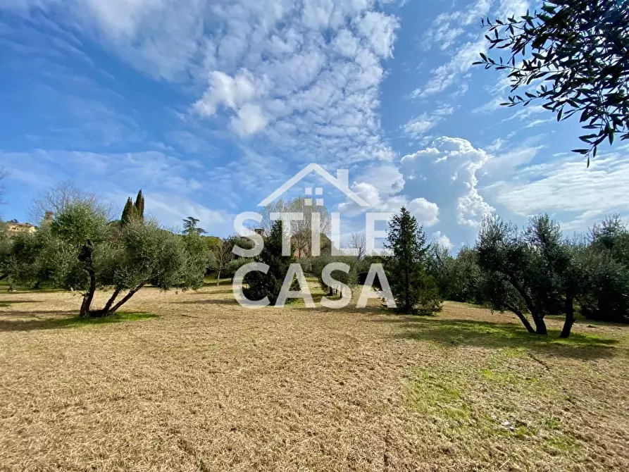 Immagine 52 di Villa in vendita  a Crespina Lorenzana
