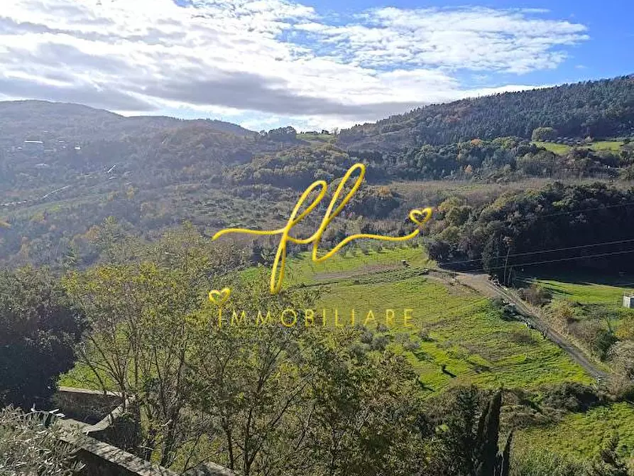 Immagine 13 di Appartamento in vendita  a Pomarance