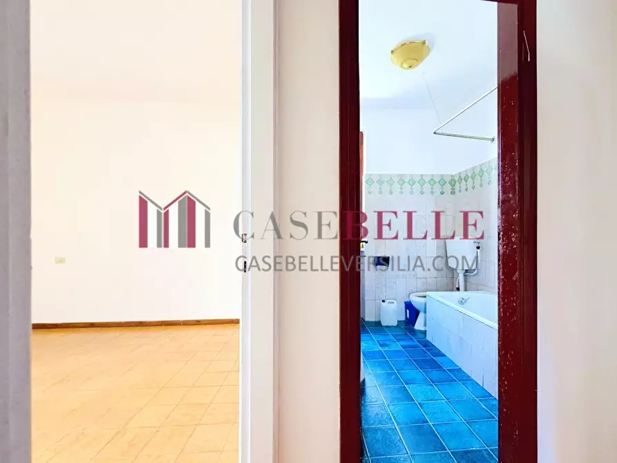 Immagine 16 di Appartamento in vendita  a Camaiore