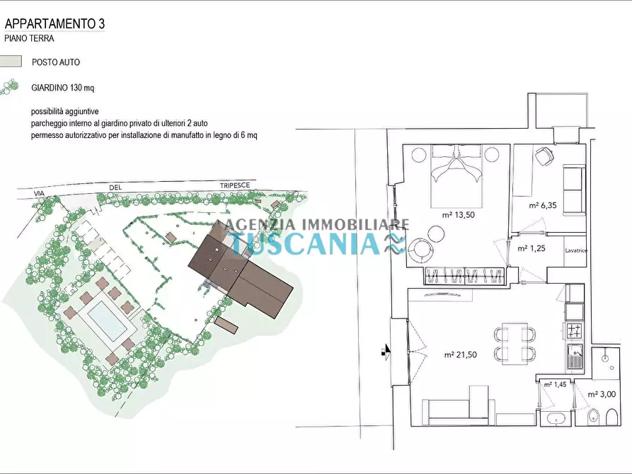 Immagine 8 di Appartamento in vendita  a Cecina