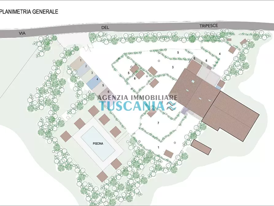 Immagine 5 di Appartamento in vendita  a Cecina