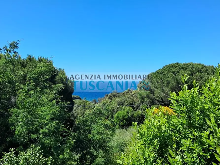 Immagine 9 di Casa bifamiliare in vendita  a Marciana