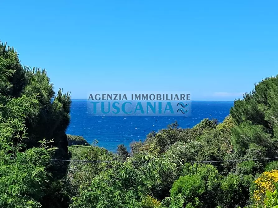 Immagine 11 di Casa bifamiliare in vendita  a Marciana