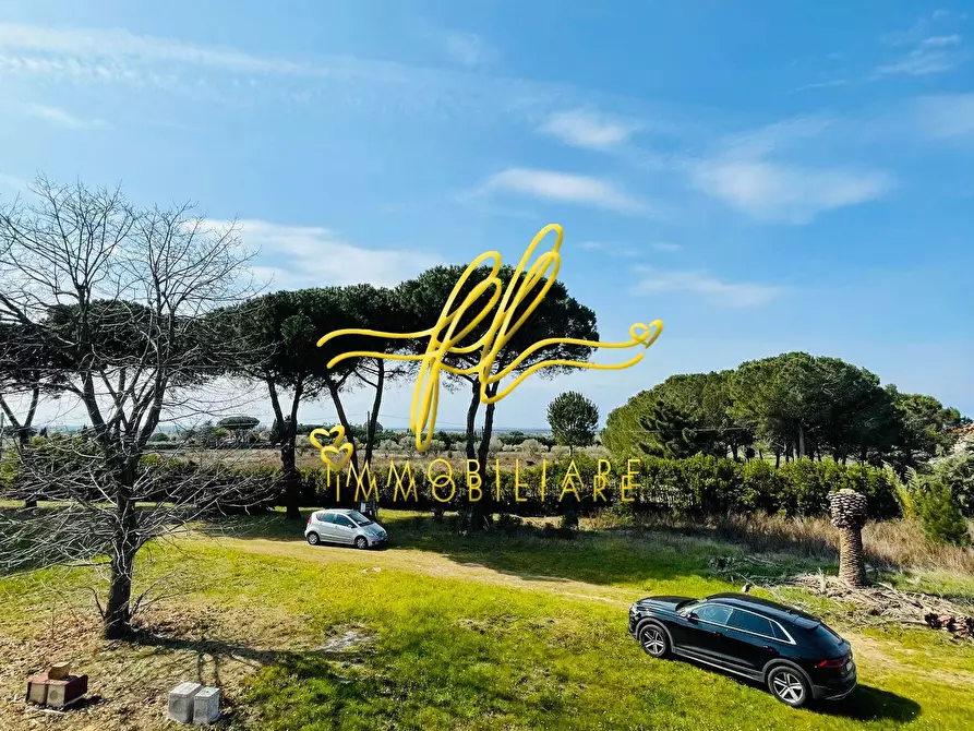 Immagine 14 di Casa indipendente in vendita  a Cecina