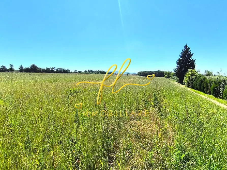 Immagine 4 di Terreno agricolo in vendita  a Cecina