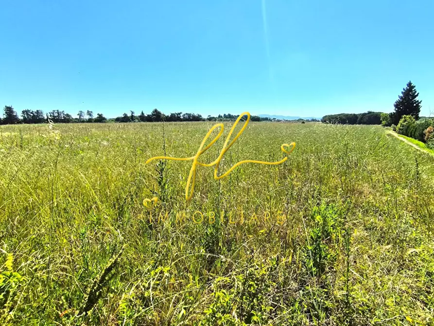 Immagine 7 di Terreno agricolo in vendita  a Cecina