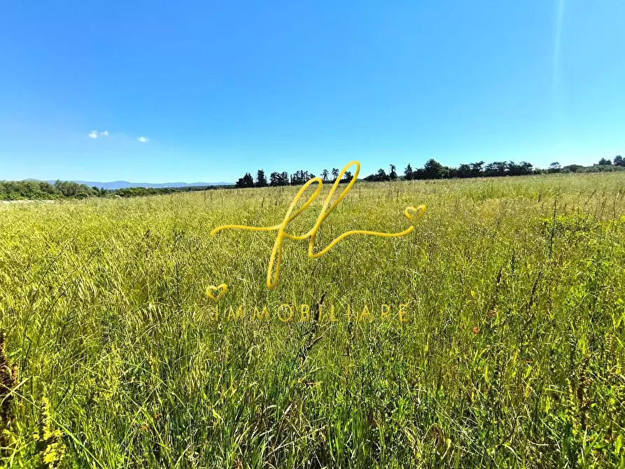Immagine 10 di Terreno agricolo in vendita  a Cecina