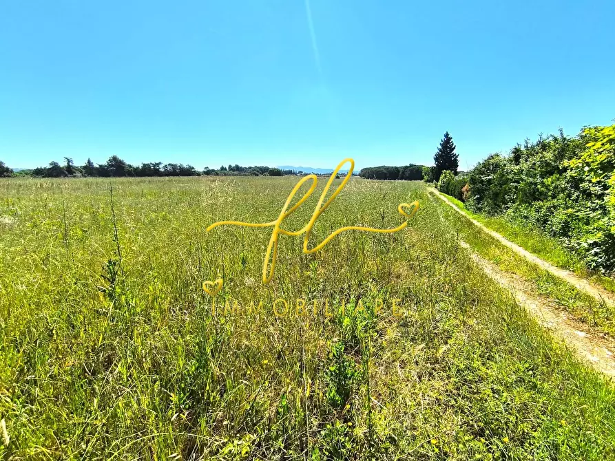 Immagine 1 di Terreno agricolo in vendita  a Cecina