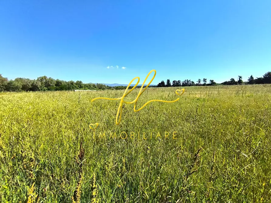 Immagine 2 di Terreno agricolo in vendita  a Cecina