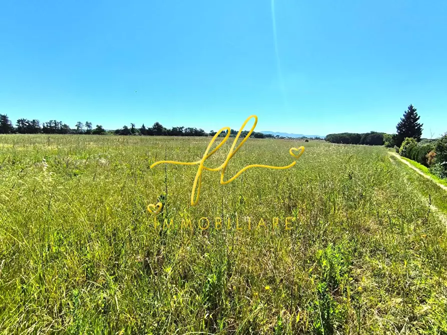Immagine 11 di Terreno agricolo in vendita  a Cecina