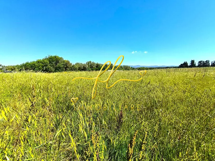 Immagine 6 di Terreno agricolo in vendita  a Cecina