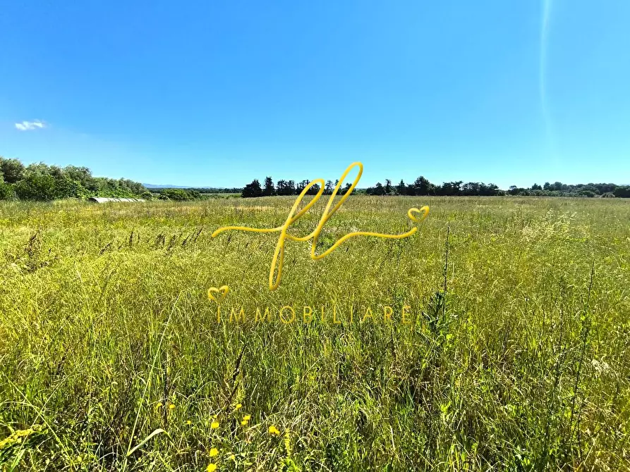 Immagine 9 di Terreno agricolo in vendita  a Cecina