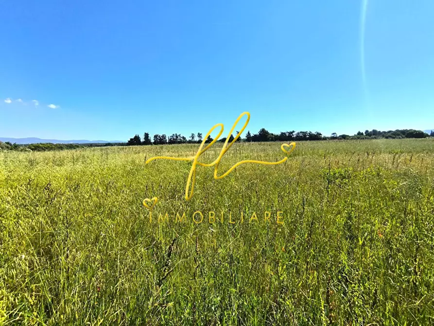Immagine 3 di Terreno agricolo in vendita  a Cecina