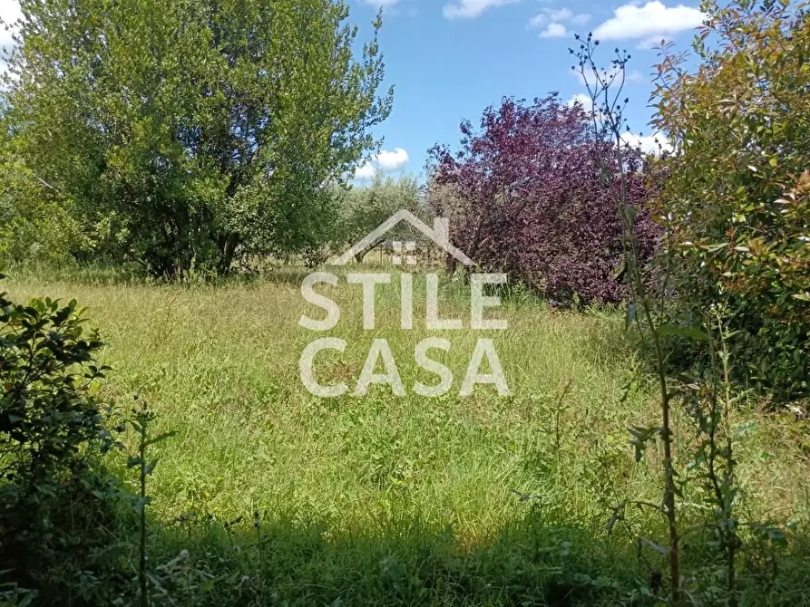 Immagine 6 di Casa indipendente in vendita  a Altopascio