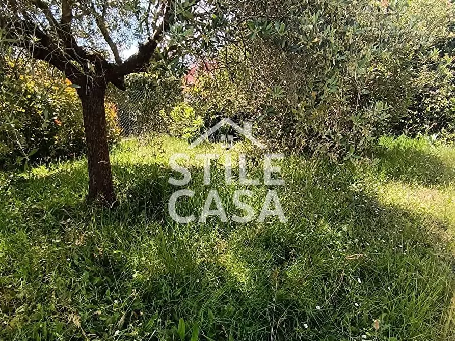 Immagine 5 di Casa indipendente in vendita  a Altopascio