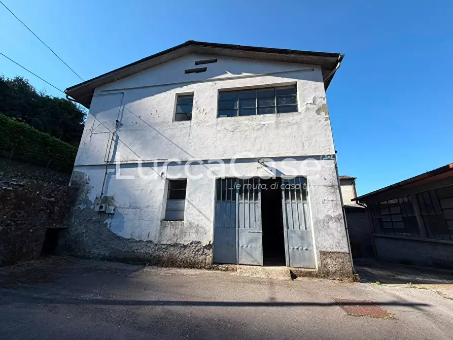 Immagine 31 di Capannone industriale in vendita  a Borgo A Mozzano
