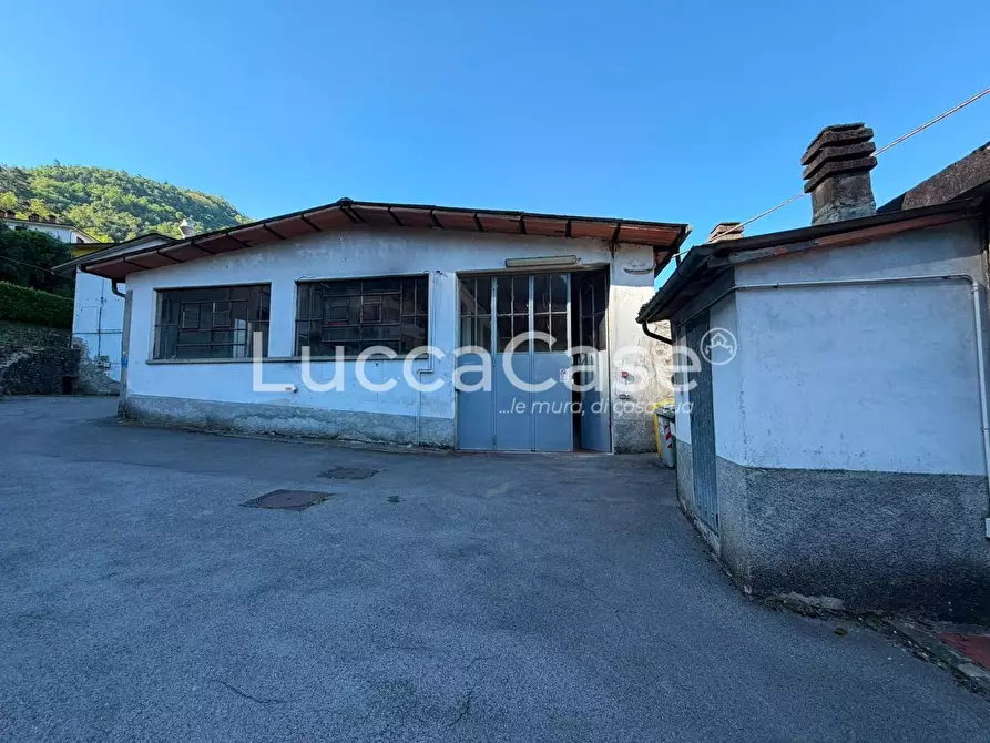 Immagine 19 di Capannone industriale in vendita  a Borgo A Mozzano