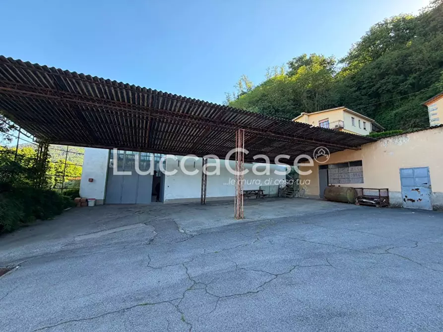 Immagine 30 di Capannone industriale in vendita  a Borgo A Mozzano