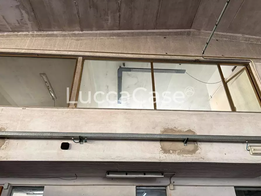 Immagine 40 di Capannone industriale in vendita  a Borgo A Mozzano