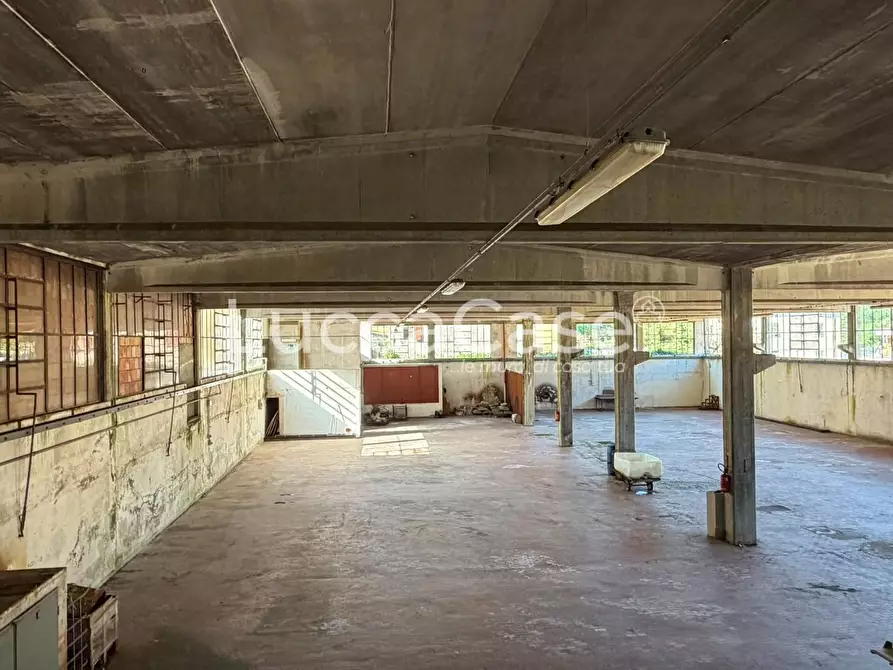 Immagine 9 di Capannone industriale in vendita  a Borgo A Mozzano