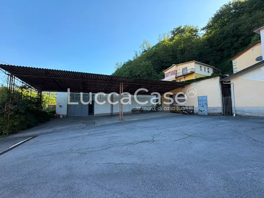 Immagine 28 di Capannone industriale in vendita  a Borgo A Mozzano