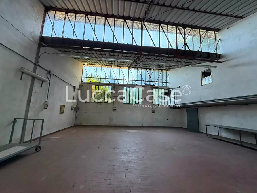 Immagine 4 di Capannone industriale in vendita  a Borgo A Mozzano
