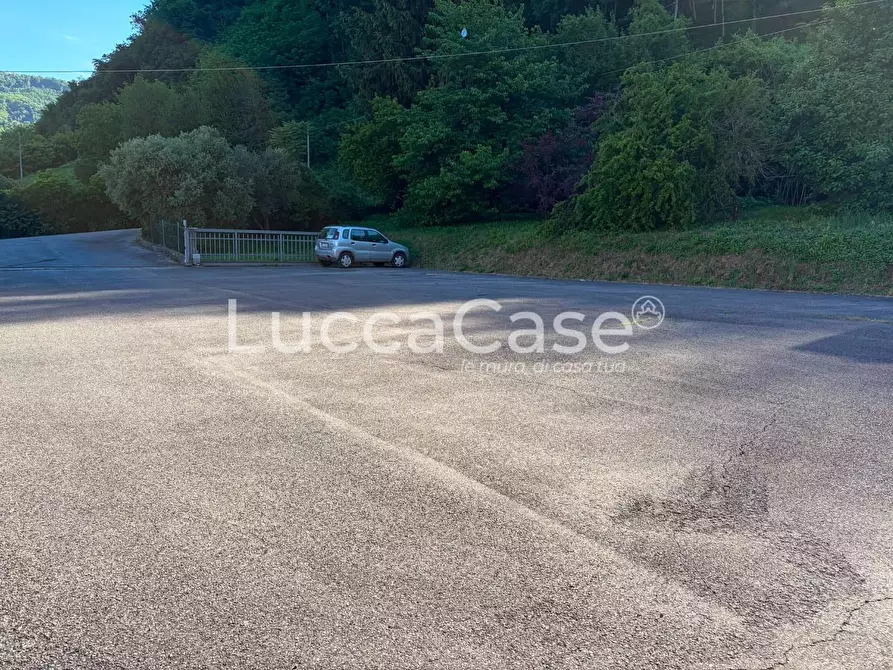 Immagine 5 di Capannone industriale in vendita  a Borgo A Mozzano