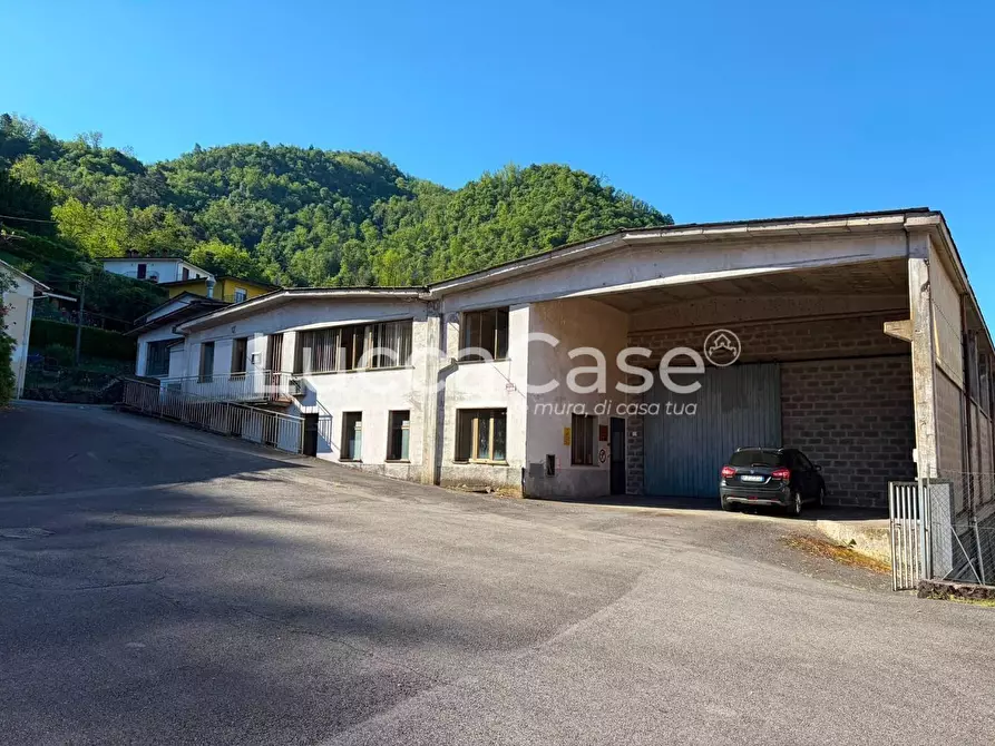 Immagine 1 di Capannone industriale in vendita  a Borgo A Mozzano