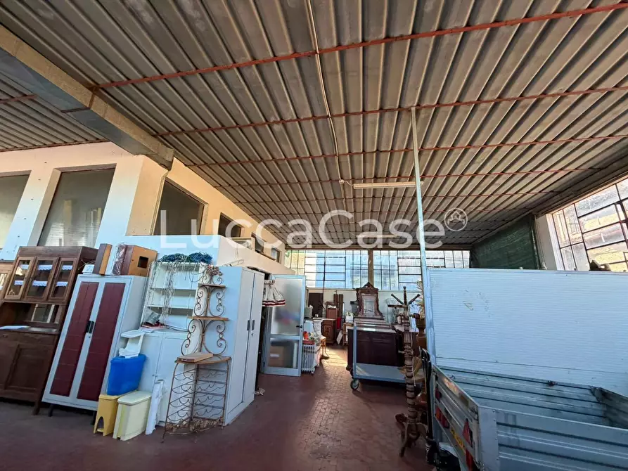 Immagine 3 di Capannone industriale in vendita  a Borgo A Mozzano