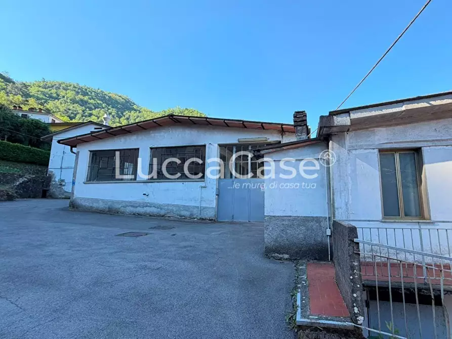 Immagine 2 di Capannone industriale in vendita  a Borgo A Mozzano