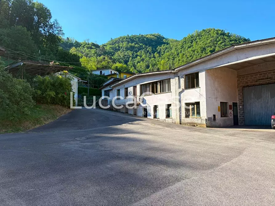 Immagine 29 di Capannone industriale in vendita  a Borgo A Mozzano