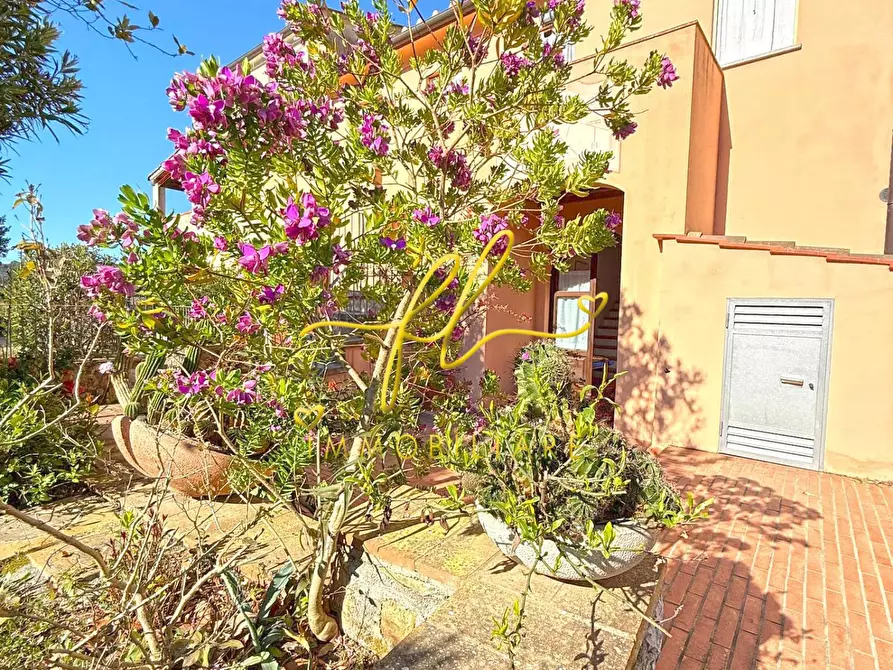 Immagine 3 di Villetta a schiera in vendita  a Marciana