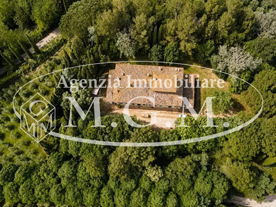 Immagine 43 di Porzione di casa in affitto  a Fauglia
